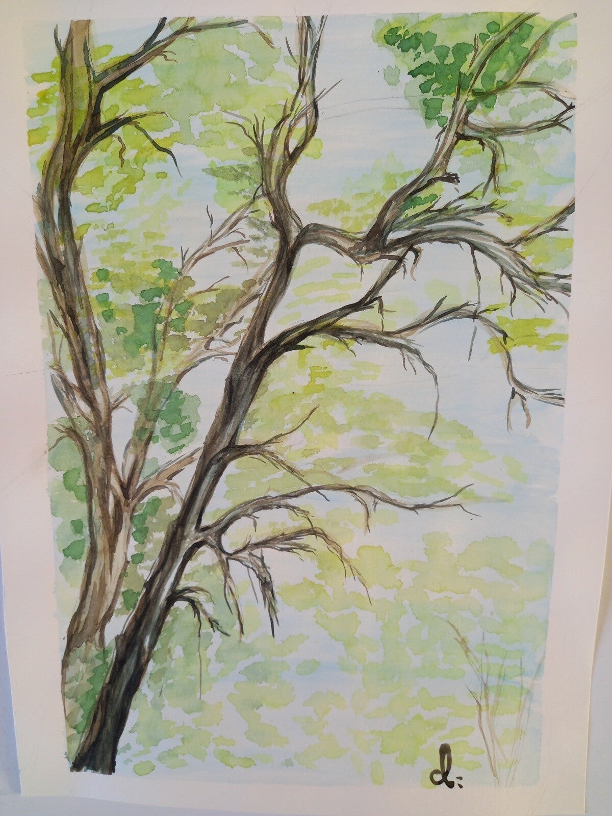 Aquarelle "Branches au Printemps" 30 x 40 cm