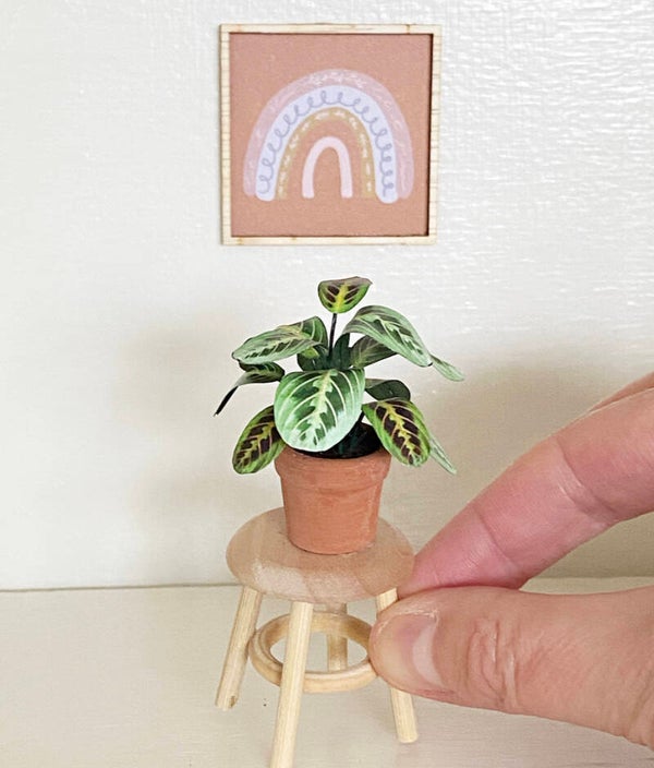 Plant met groen blad