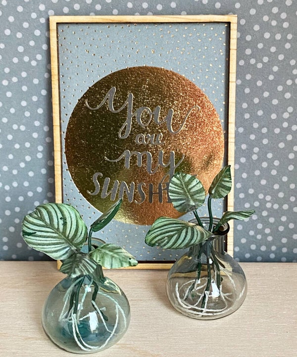 Stekjes in glazen vaasje