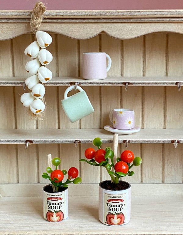 Tomatenplant in blik