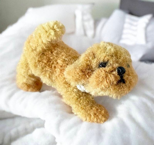 Hondje 1