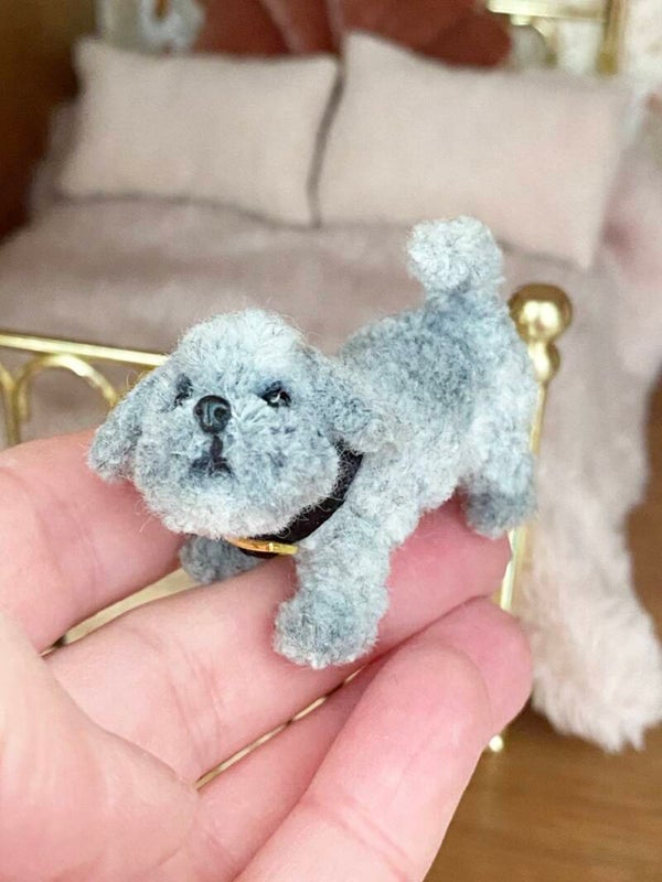 Hondje 7