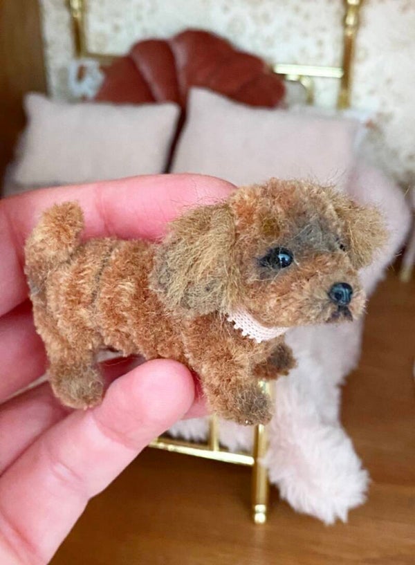 Hondje 6