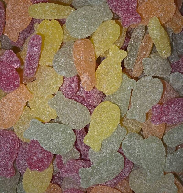 ExoticFish Lutti / vrac 100g (Q06)