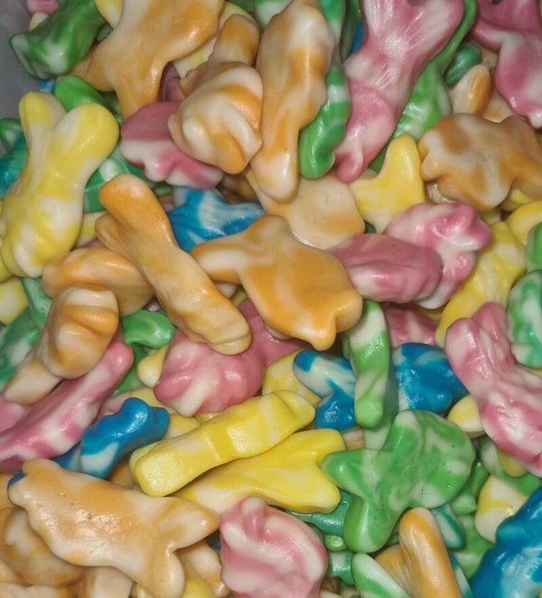 Poissons Bicolor Vidal / vrac 100g (KAL06)