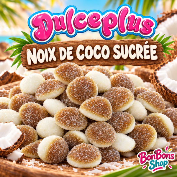 Noix de coco sucré (H01)
