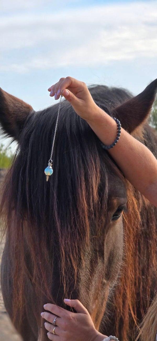 Adrian - aanmelden opleiding