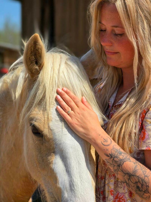Reiki 3A cursus tussen de paarden - 28 september