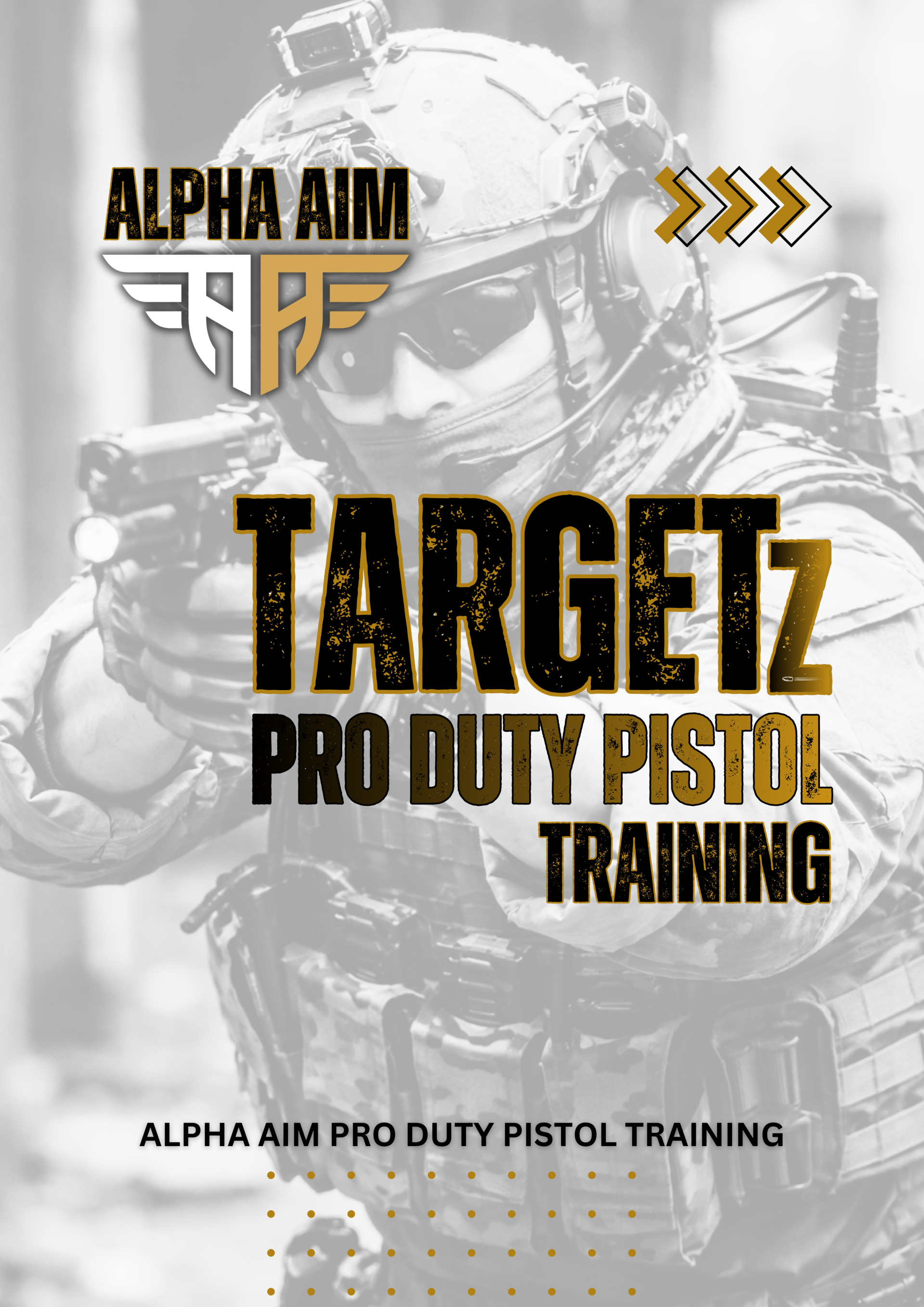 TARGETz Pistol Pro Duty
