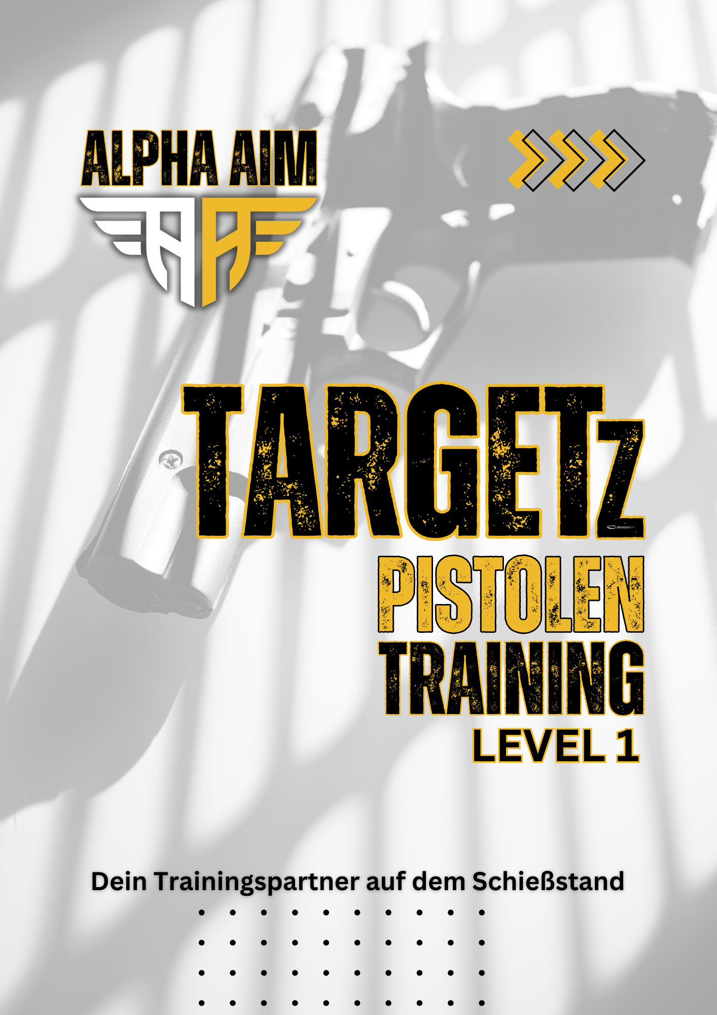 TARGETz Pistolen Training Level 1