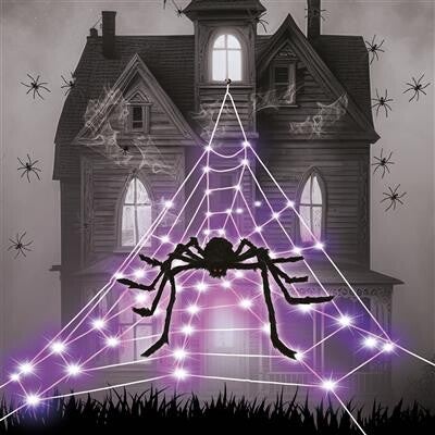 LED Spinnenweb met spin 5M