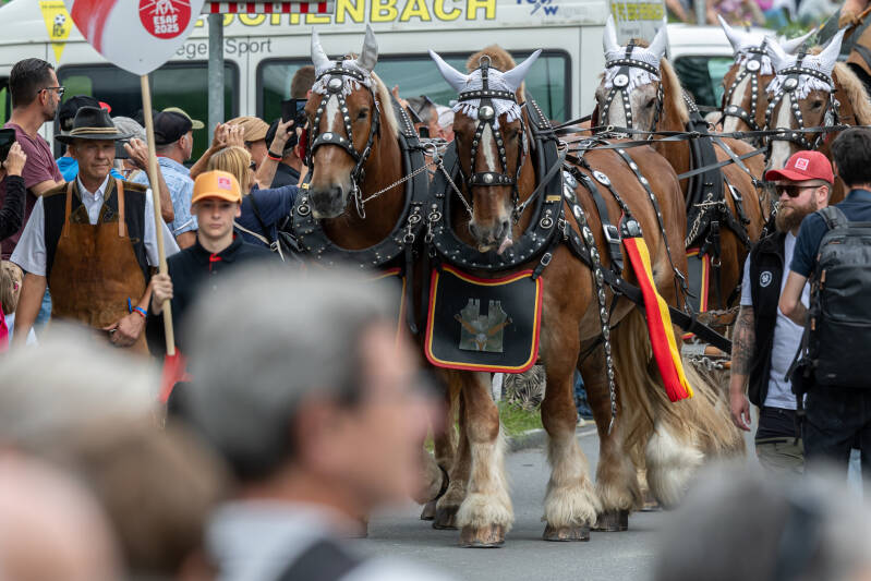 esaf_2025_festumzug_by_fritz_leuzinger_250829_067a1965-standard.jpg