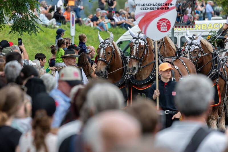 esaf_2025_festumzug_by_fritz_leuzinger_250829_067a1967-standard.jpg
