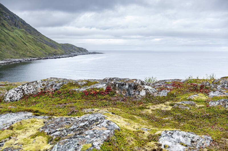 norwegen-66-standard.jpg