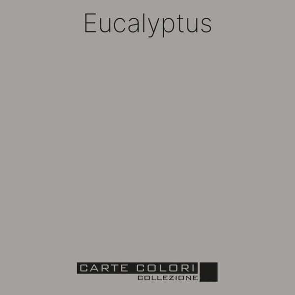 Eucalyptus - Proefpotje - Carte Colori