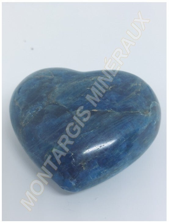 Coeur Apatite 2026-01