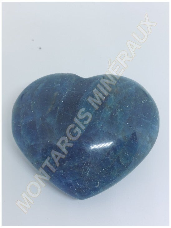 Coeur Apatite 2026-02