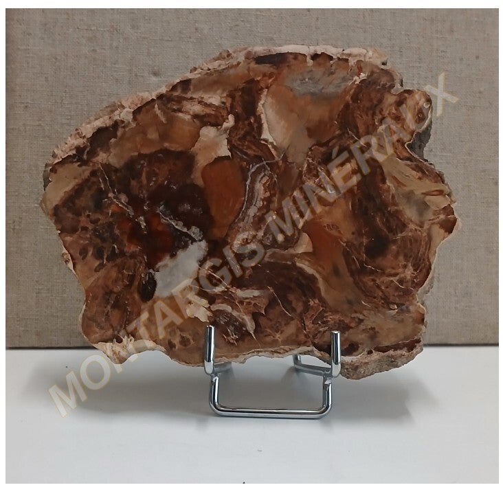 Bois fossile