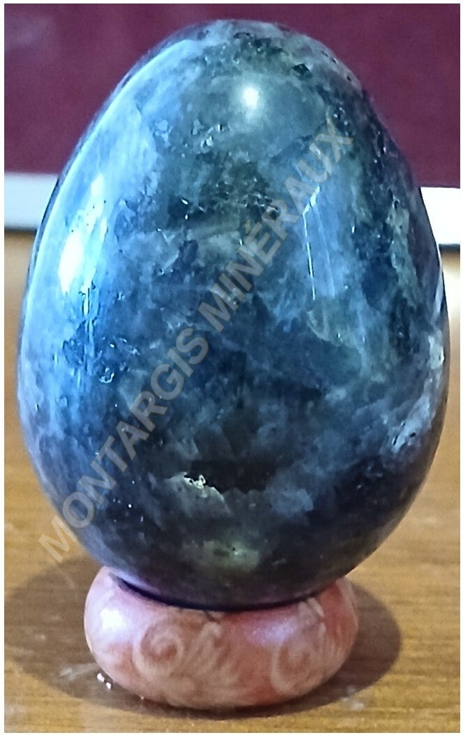 Oeuf larv 2026-02 Larvikite