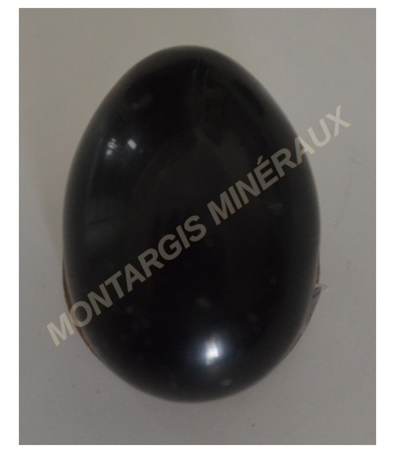 Oeuf obs 2026-01 Obsidienne