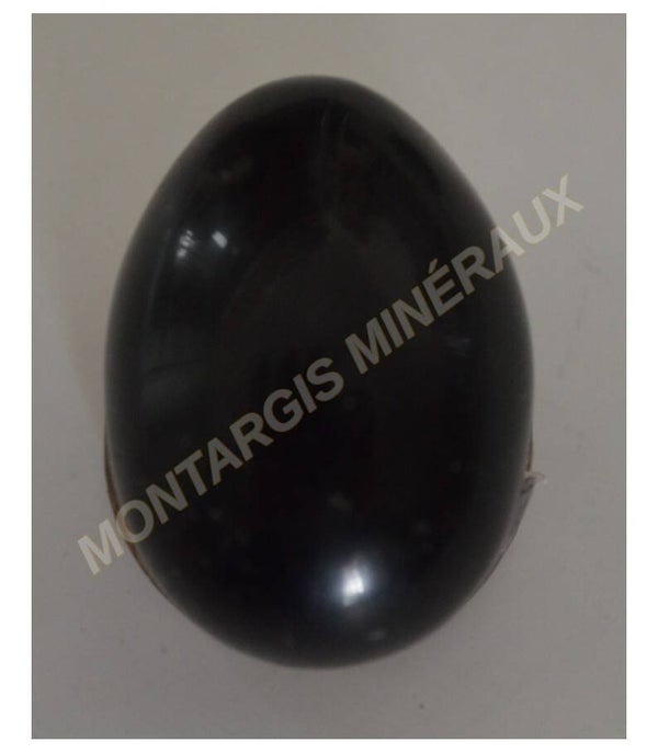 Oeuf obs 2026-01 Obsidienne