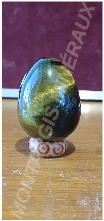 Oeuf odt 2026-01 Oeil de tigre