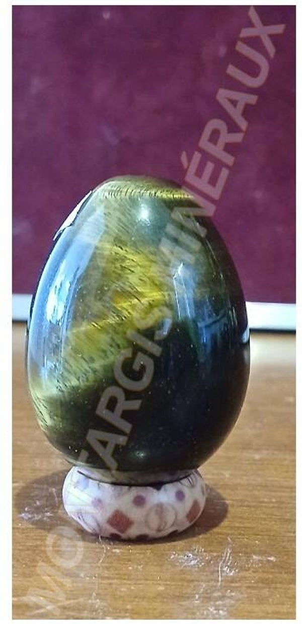 Oeuf odt 2026-02 Oeil de tigre
