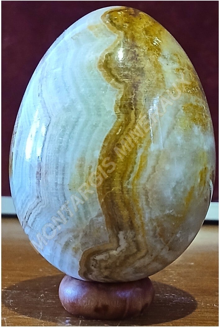 Oeuf ony 2026-01 Onyx