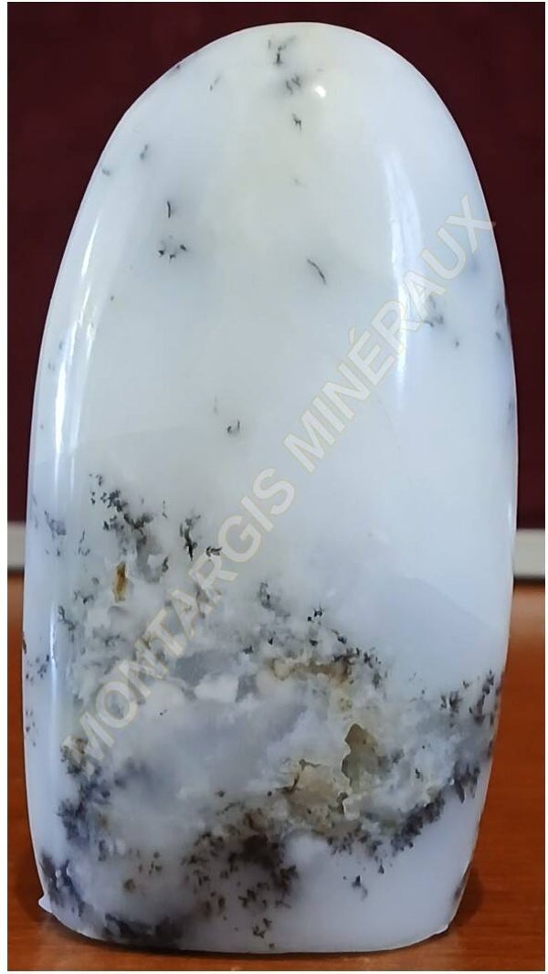FLOPB 2026-01 Opale blanche