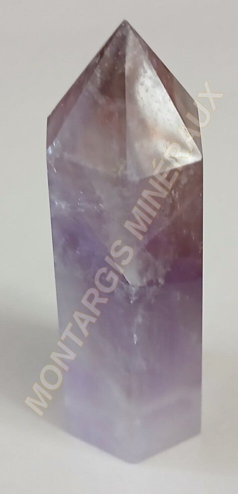 PPAme 2026-01 Amethyste