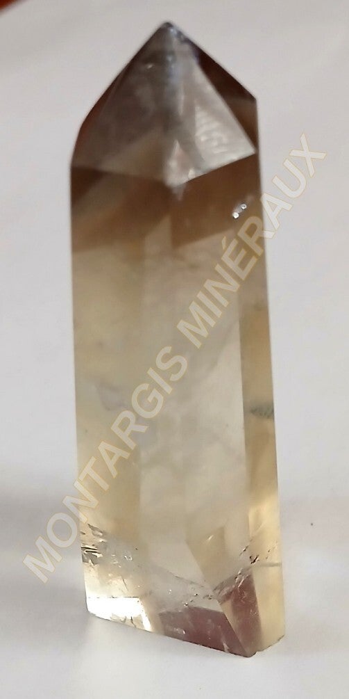 PPCit 2026-01 Citrine
