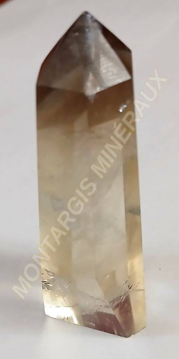 PPCit 2026-01 Citrine
