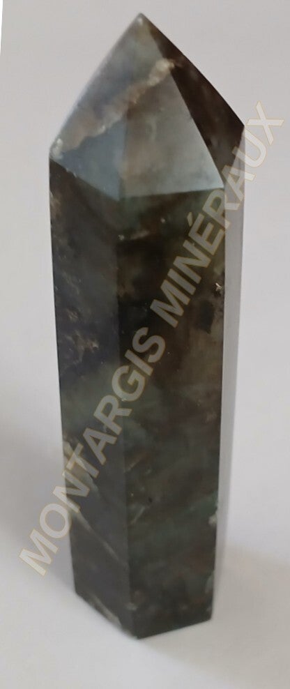 PPLabr 2026-02 Labradorite
