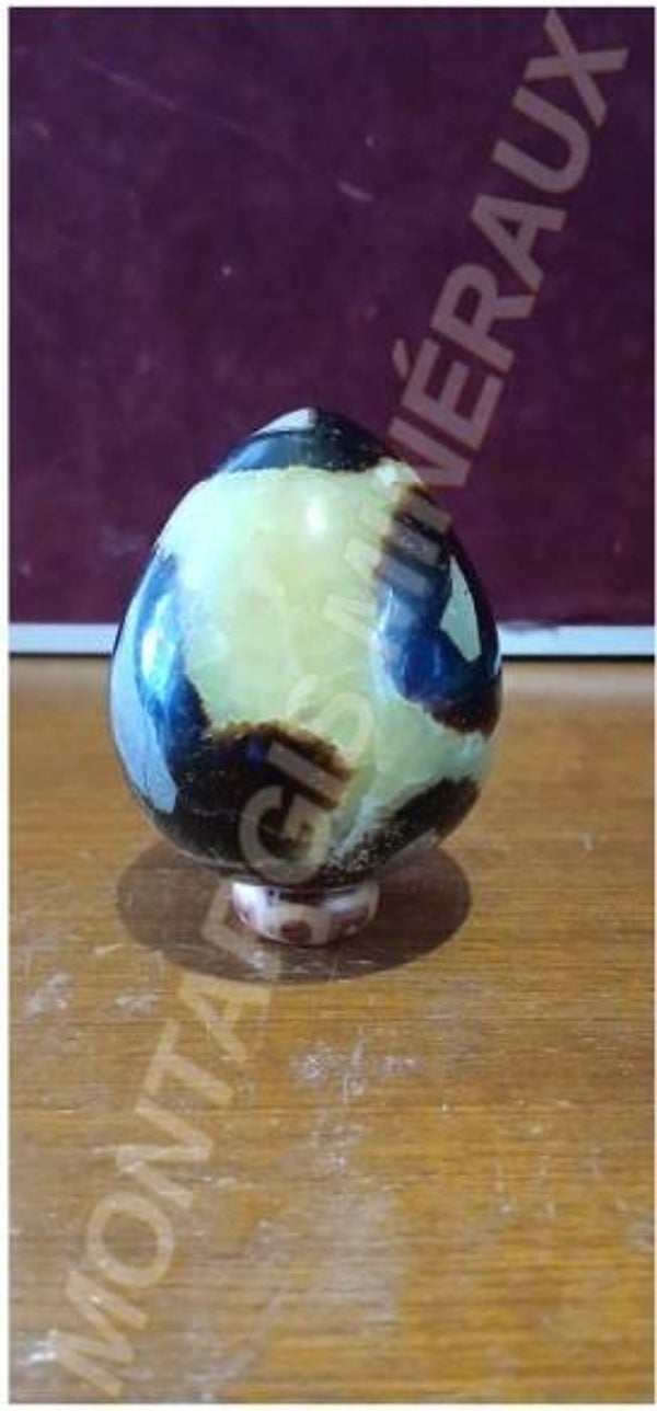 Oeuf sept 2026-02 Septaria