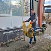 NL Doet Hoornbeeck college