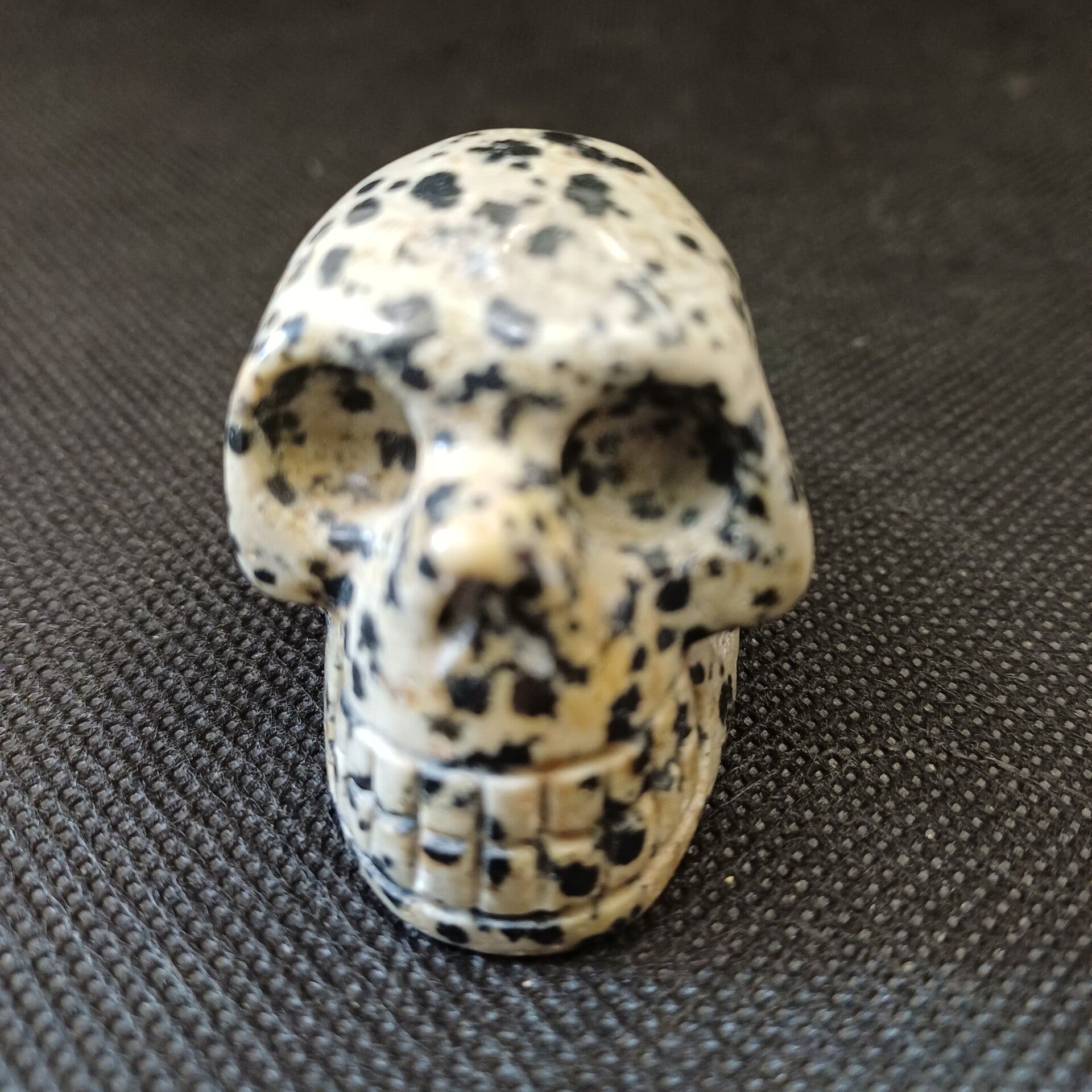 Crâne Jaspe Dalmatien