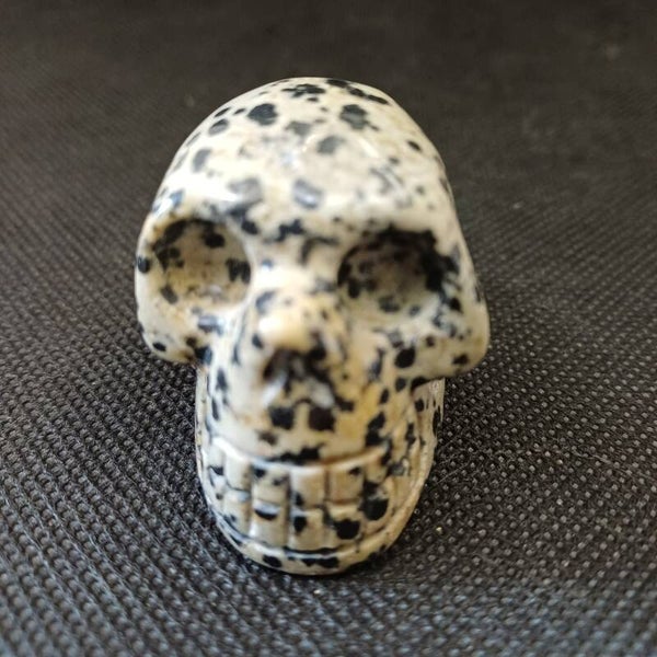 Crâne Jaspe Dalmatien