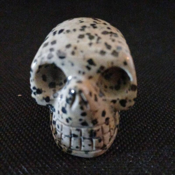 Crâne Jaspe Dalmantien