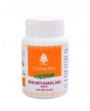 BHUMYAMALAKI (Plante (Phyllanthus Niruri)