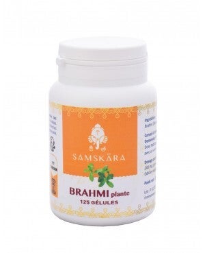 BRAHMI Plante (Bacopa Monnieri Plante)