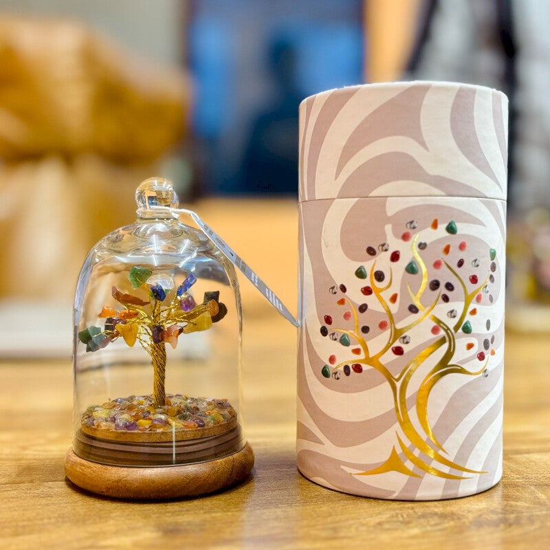 Jardin en Dôme de Pierres semi Précieuses - Sept Chakras - 30 pierres