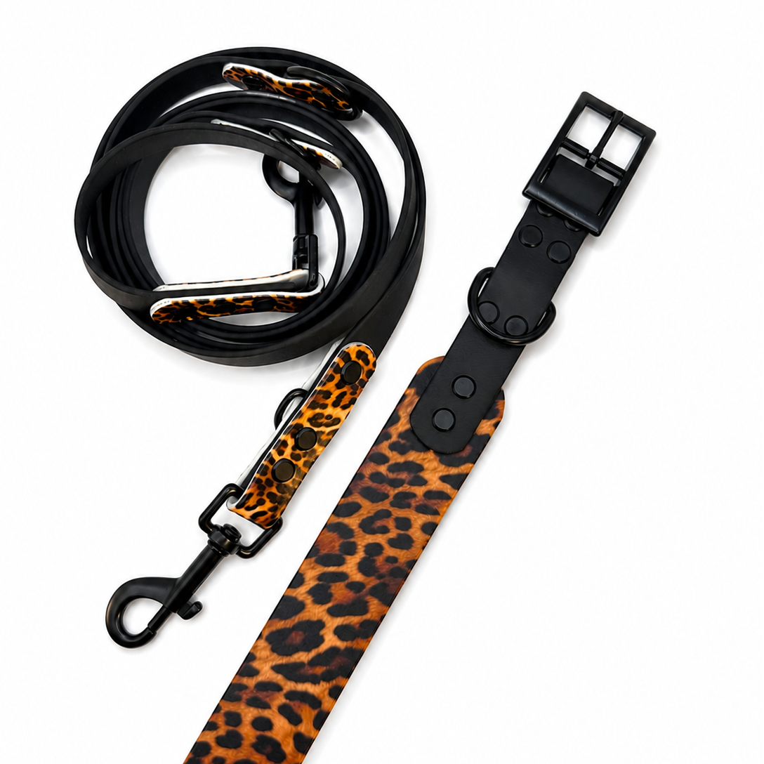 Leopard x Schwarz
