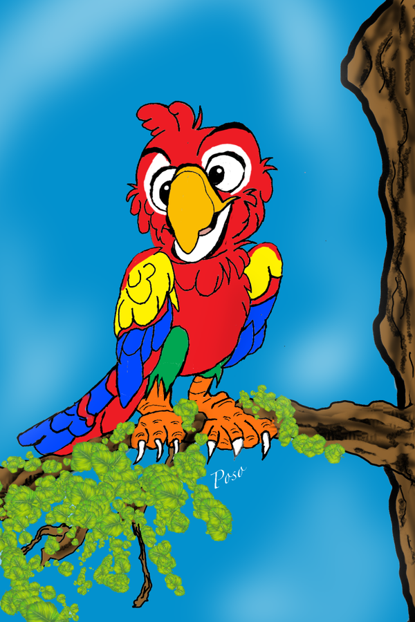 Colorful Macaw