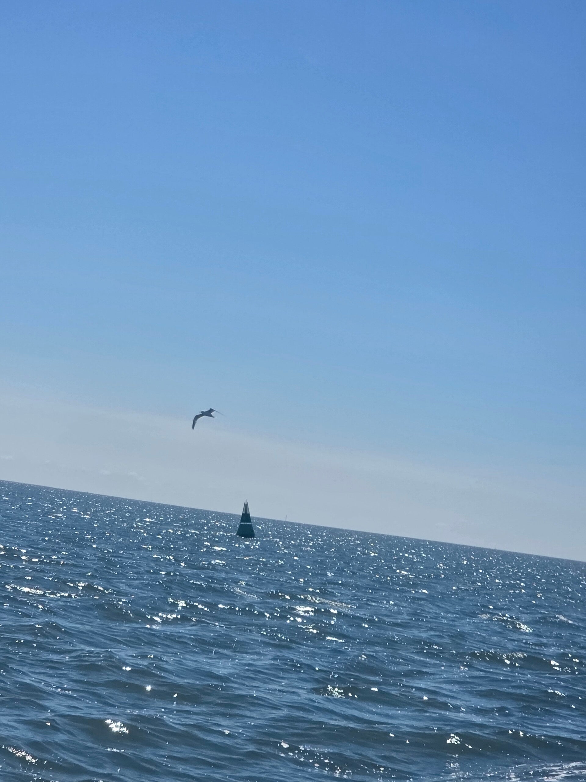 Am Himmel eine Möve die über das glitzernte Meer fliegt. Mitten auf der offenen Nordsee eine Boje.