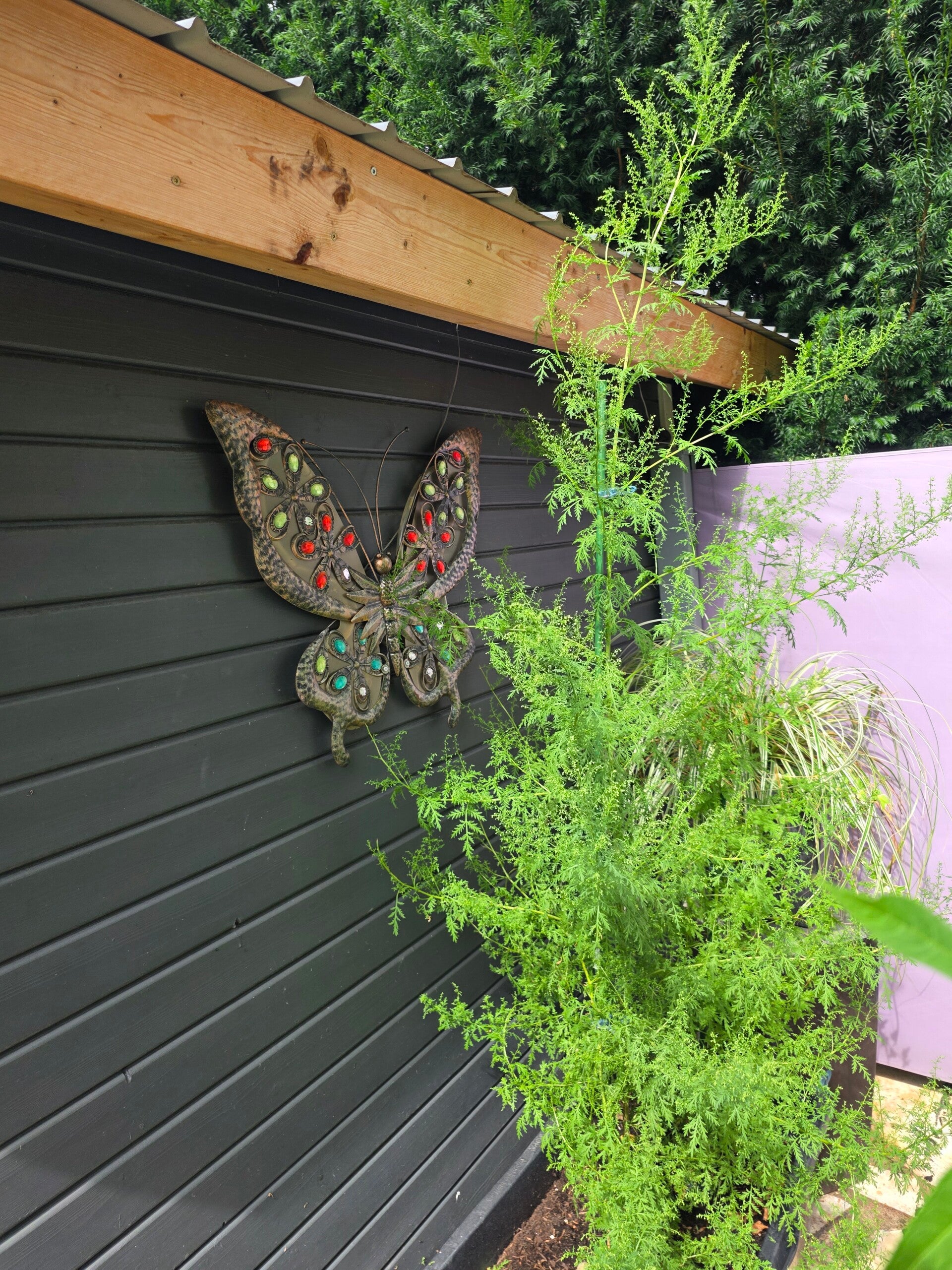 Große selbst gezogene Artemisia-annua-Pflanze neben einem dekorativen Schmetterling im Garten als Sinnbild für Wachstum und Verwandlung 