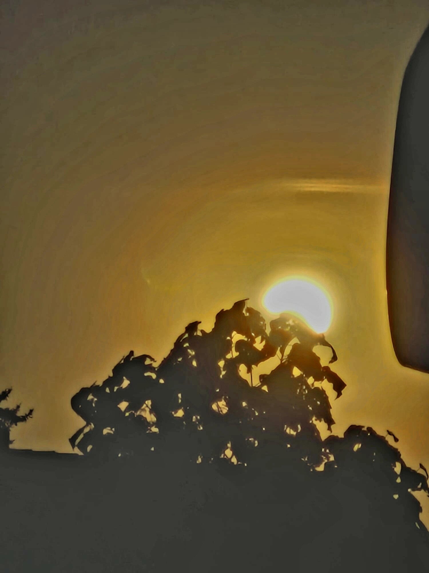 Sonnenfinsternis am 12. August 2026 mit teilweise verdeckter Sonne hinter dunklen Wolken, fotografiert von meiner Tochter Michelle.