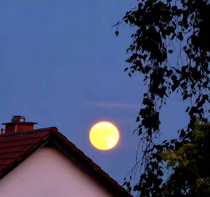 Leuchtender Vollmond über einem Hausdach in den frühen Morgenstunden. Der Mond strahlt warm am Himmel und erinnert an nbesondere Momente einer Vollmondnacht.