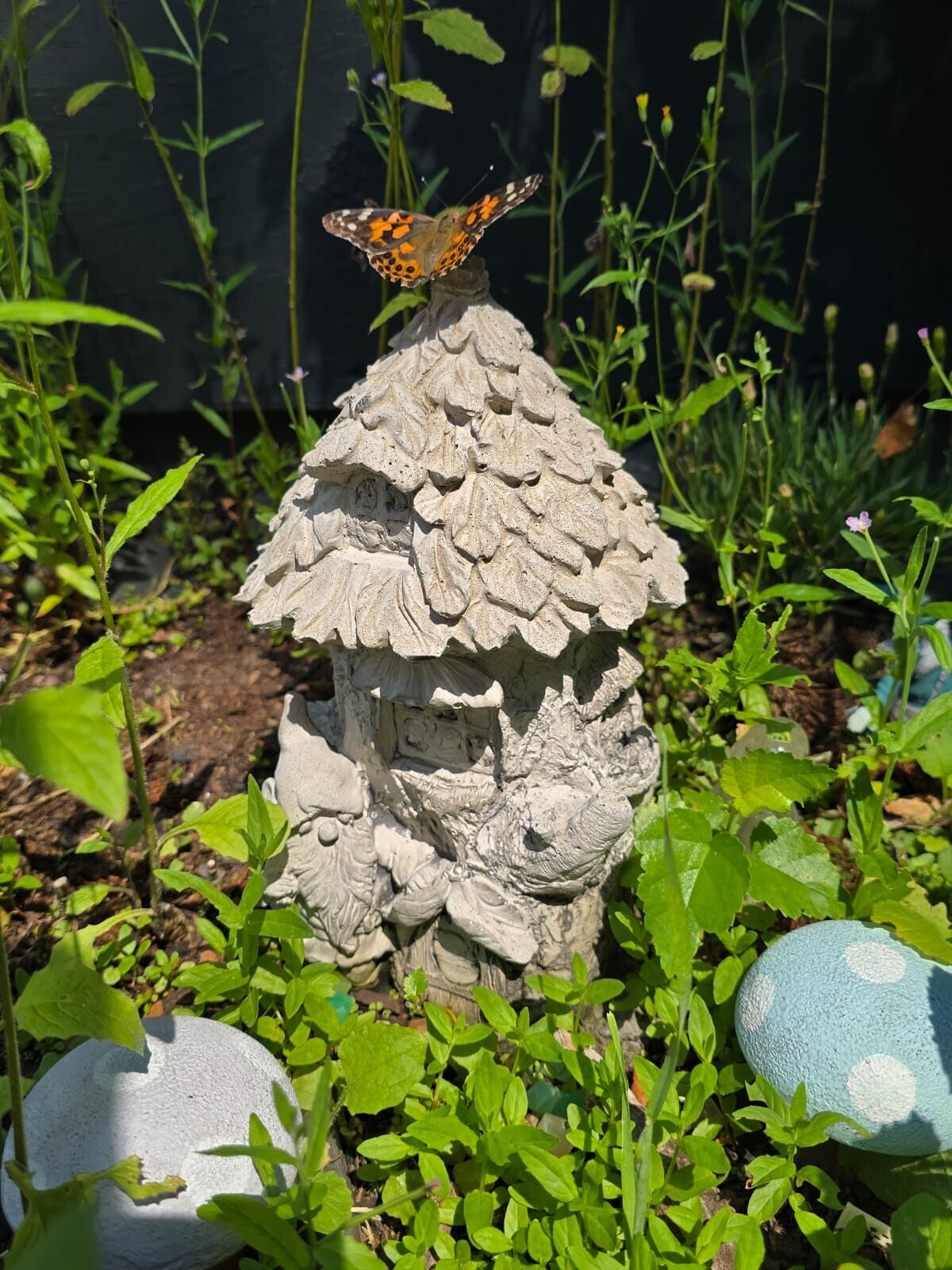 Distelfalter ruht nach seiner Freilassung auf einem kleinen Feenhaus zwischen Wildblumen im naturnahen Feen- und Schmetterlingsbeet.