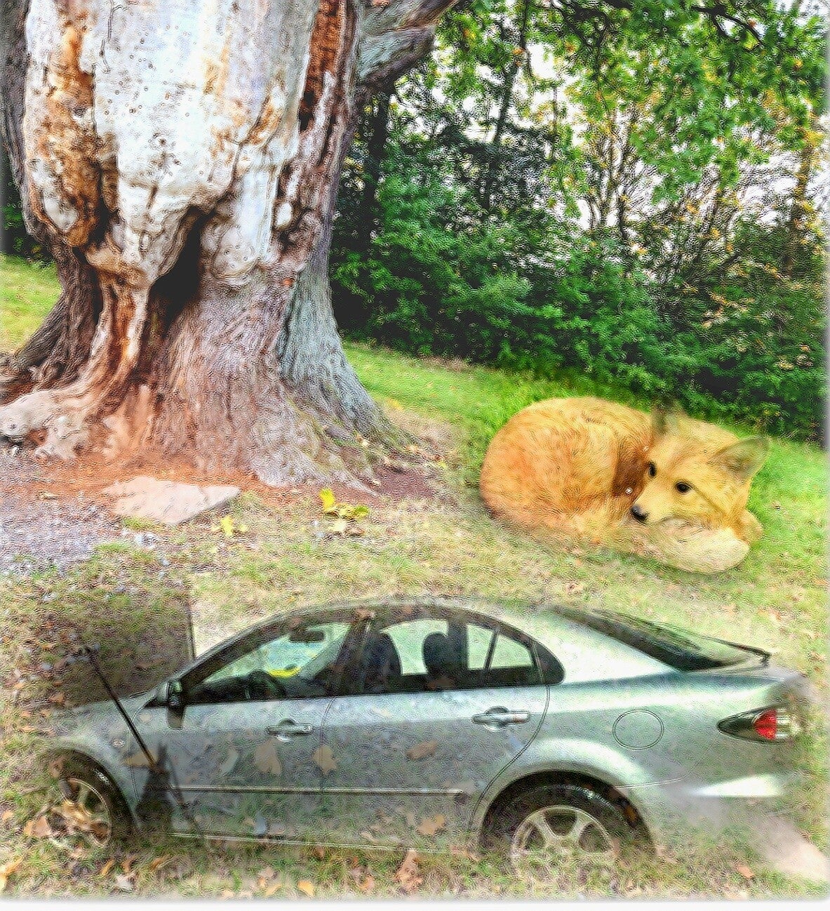 Traumbild mit einem kleinen Fuchs unter einem alten Baum und einem Auto. Symbole für Intuition, Veränderung und den eigenen Lebensweg 