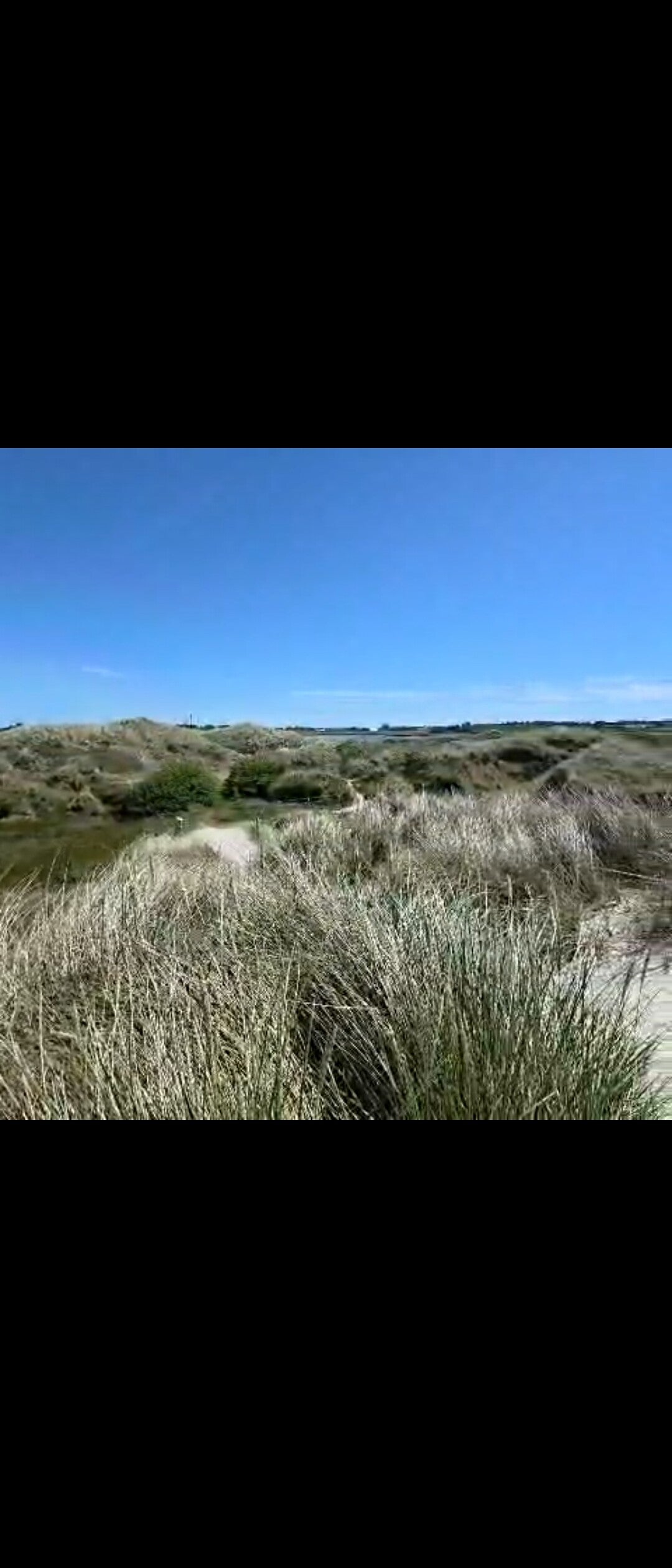Weite Dünenlandschaft mit schmalem Sandweg, sanften Gräsern und blauem Himmel – ein Sinnbild für Vertrauen, innere Ruhe und den eigenen Lebensweg.
